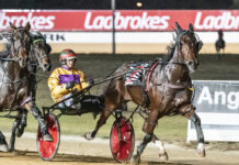 Local hope in special series