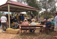 Festival of festivities