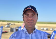 Winter crop forecast