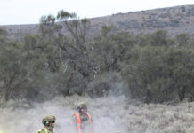 Benefit from cooperation