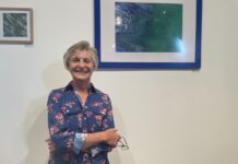 Artist Vanessa Kirkham depicts region’s picturesque landscapes
