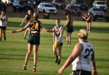 Norths head to grand final