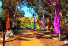 Discover what’s on in the Spencer Gulf