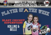 Inclusivity through cricket