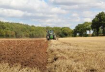 Project to manage insects