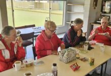 Windy weather for croquet