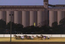 What’s on around the Spencer Gulf