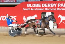 Long plan pays dividend