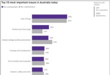 Survey shows youth insight