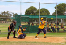 Wheels off the Cougar train before season break