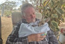 Wildlife watch on holidays