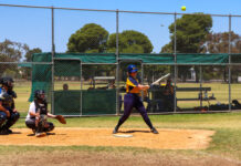 Retirees return to diamond