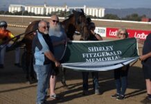 Sportsflight takes out race