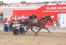 Brothers poised for series