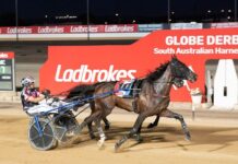 Local horse has Globe win