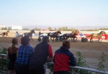 Our people, places in Pirie