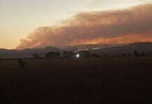 Scrub fire near Wilmington could continue for another week