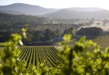 New biosecurity legislation to help protect primary industry