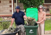 Green waste bins set to roll out