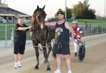 Local horses find success