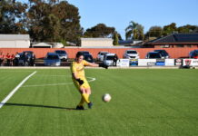 Demons drop to fifth place