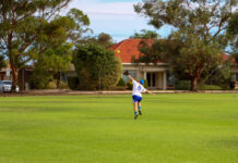 Cats claw back for final