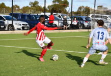 Demons bad day against Inter