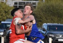 Cats continue to prowl