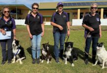 Chester named as top dog