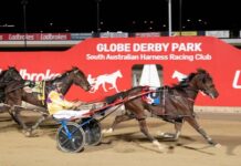 Talented Tembie hits line