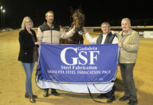 Pirie pacer on winning way