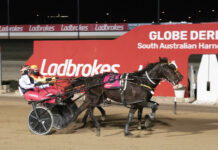 Local training success