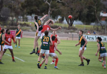 Souths win one-point game