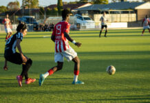 Demons lose at home again