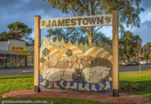 Top 10 honour for Mid North pair