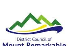 Mount Remarkable rep review