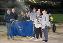 Horse ‘worth her salt’