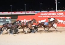 Magic Storm on a roll