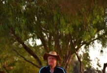 Miniature railway re-opens