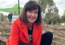 Purple-spotted gudgeon numbers grow