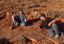 Nilpena Park set to expand