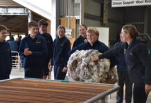 Jamestown gathering leads up to show season