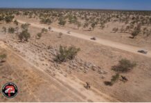 Mystery Box Rally participants travel through the outback