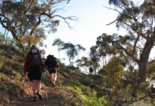 Mt Remarkable community grants program is now open