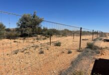 New cross-border dog fence to boost farm protection