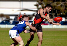 Cats finish season strong