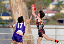 Cats draw ahead of pack