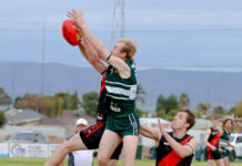 Cats continue strong form