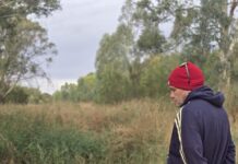 Artists show their culture