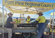 Have your say on plant giveaway